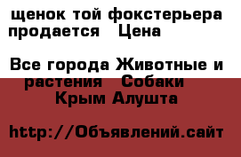 щенок той-фокстерьера продается › Цена ­ 25 000 - Все города Животные и растения » Собаки   . Крым,Алушта